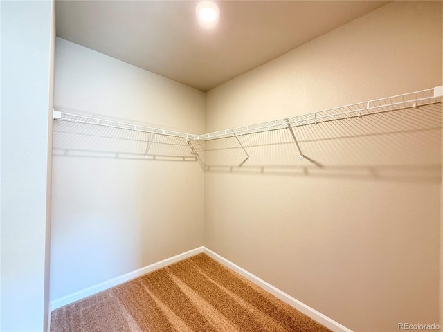 161 Robin Rd, Johnstown, CO 80534 - walk in closet with carpet