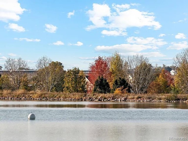 161 Robin Rd, Johnstown, CO 80534 - property view of water