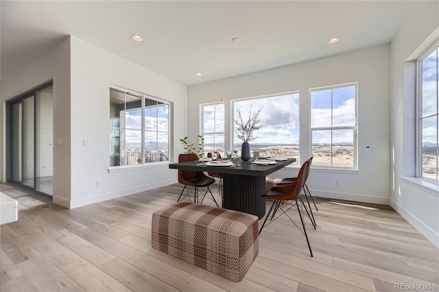 dining area featuring light hardwood / wood-style floors