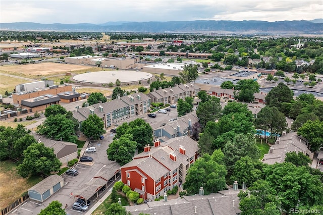 2686 E Otero Pl Unit 10, Centennial, CO 80122 - photo 40