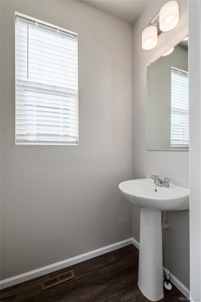 bathroom with wood-type flooring and sink