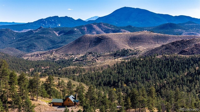 31266 Half Peak Trl, Pine, CO 80470 - view of mountain background with a heavily wooded area