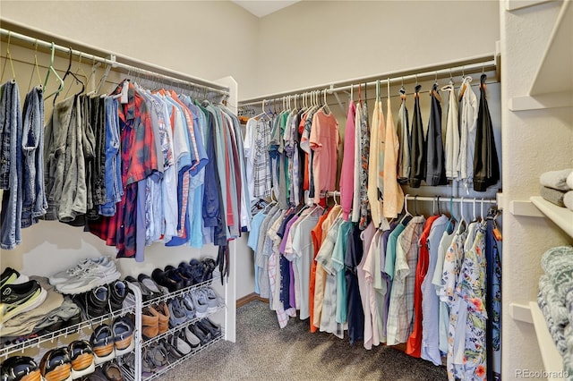 34827 E 7th Ave, Watkins, CO 80137 - spacious closet featuring carpet flooring