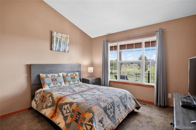 34827 E 7th Ave, Watkins, CO 80137 - carpeted bedroom featuring vaulted ceiling and baseboards