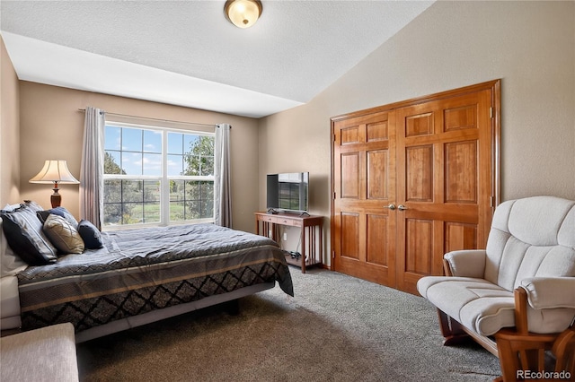 34827 E 7th Ave, Watkins, CO 80137 - bedroom with carpet and vaulted ceiling
