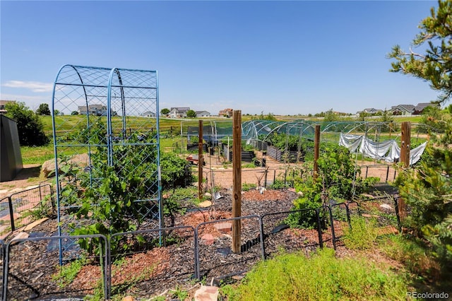 34827 E 7th Ave, Watkins, CO 80137 - view of playground featuring a garden