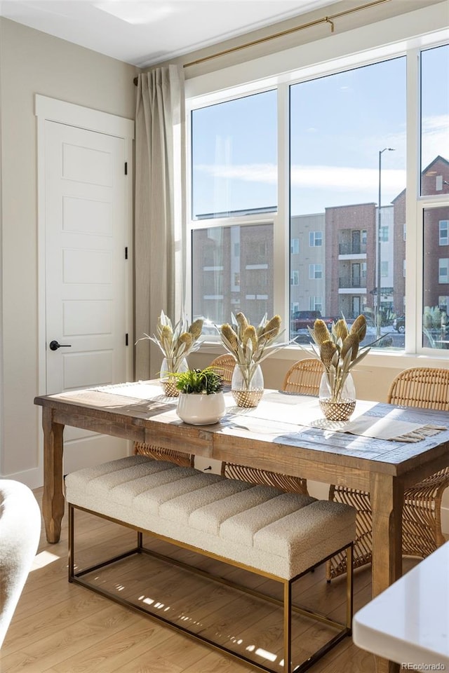 dining area with hardwood / wood-style flooring