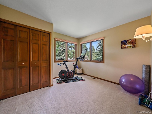 31412 N Bermuda Dunes Dr, Evergreen, CO 80439 - exercise room featuring baseboards and carpet floors