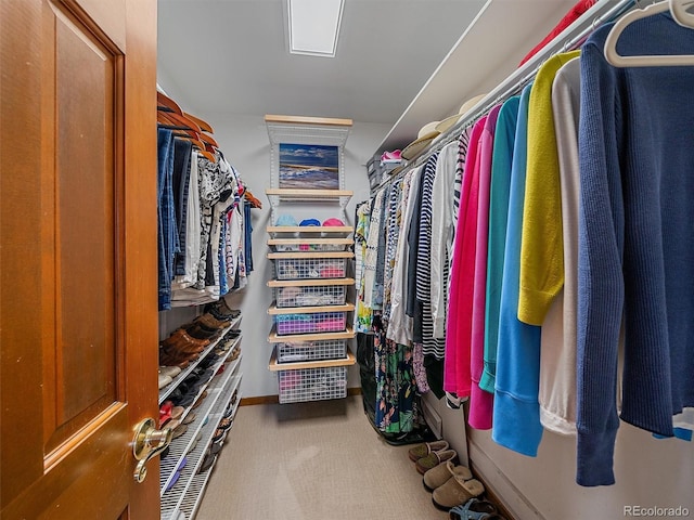 31412 N Bermuda Dunes Dr, Evergreen, CO 80439 - walk in closet featuring carpet flooring