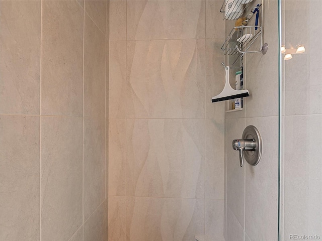 31412 N Bermuda Dunes Dr, Evergreen, CO 80439 - bathroom view of a tile shower