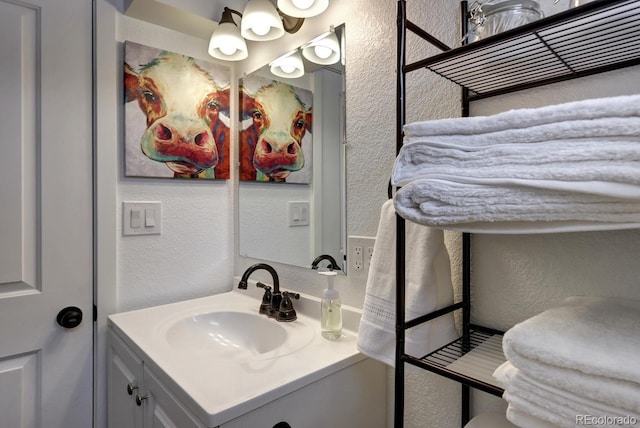 361 N Raleigh St, Denver, CO 80219 - bathroom with a textured wall and vanity