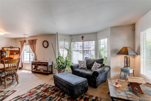 5400 Perth St, Denver, CO 80249 - carpeted living room with healthy amount of natural light and a textured ceiling