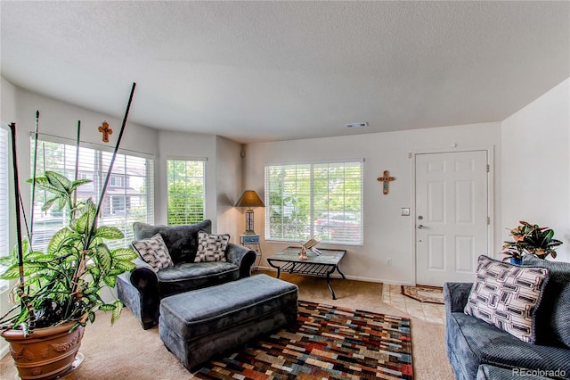 5400 Perth St, Denver, CO 80249 - carpeted living room with a textured ceiling