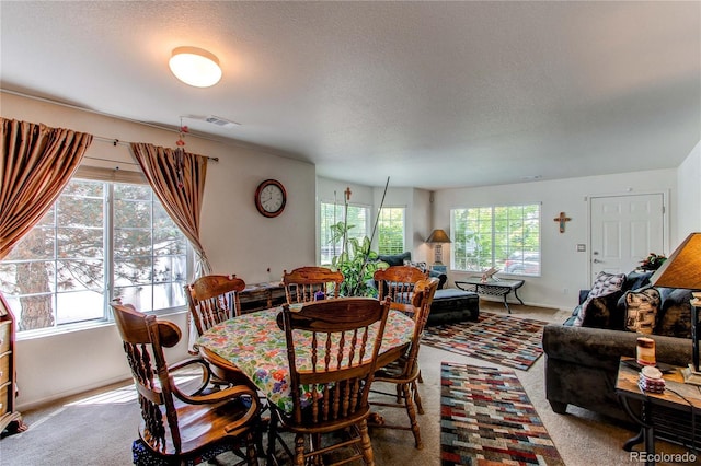 5400 Perth St, Denver, CO 80249 - carpeted dining room with plenty of natural light, a textured ceiling, and baseboards