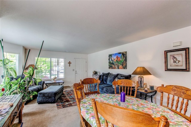 5400 Perth St, Denver, CO 80249 - carpeted living room with baseboards