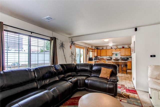 5400 Perth St, Denver, CO 80249 - living room featuring light colored carpet