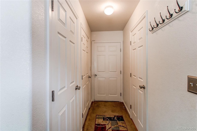 5400 Perth St, Denver, CO 80249 - hall with dark colored carpet