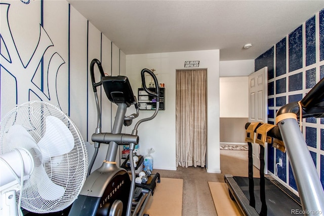 5400 Perth St, Denver, CO 80249 - exercise room with carpet floors