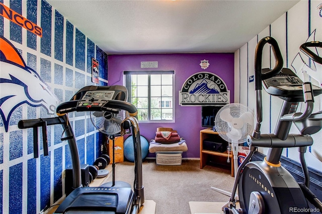 5400 Perth St, Denver, CO 80249 - workout room featuring carpet