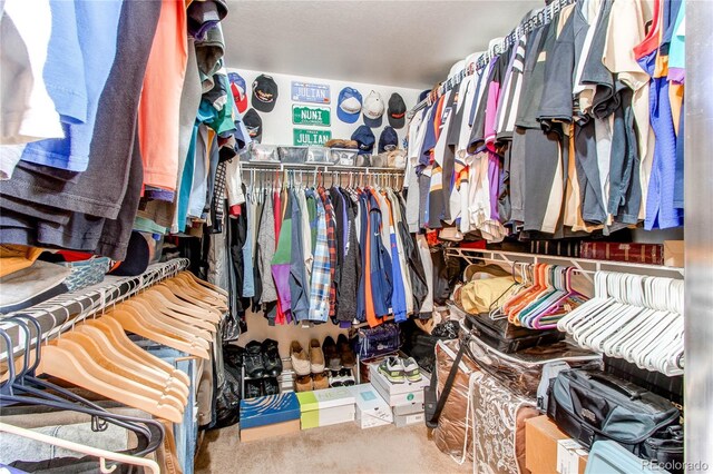5400 Perth St, Denver, CO 80249 - spacious closet with carpet floors