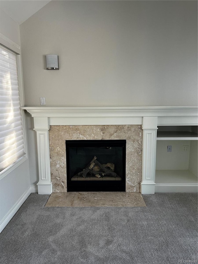 details featuring a fireplace and carpet