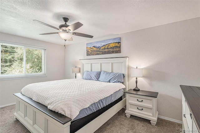 8081 S Estes St, Littleton, CO 80128 - photo 11