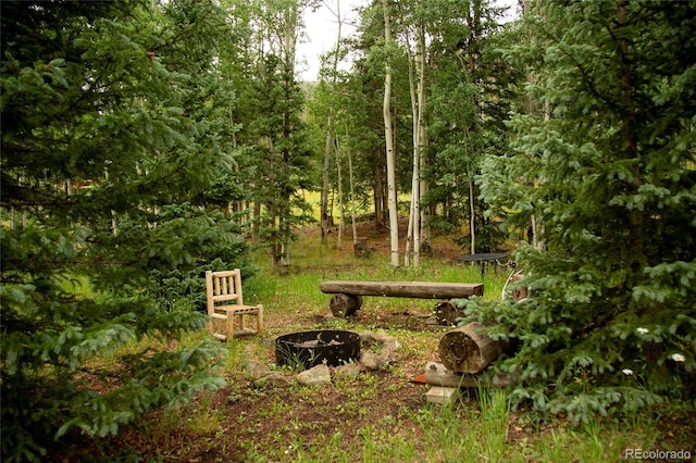 2150 Usfs Rd 521 18A, Creede, CO 81130 - photo 15
