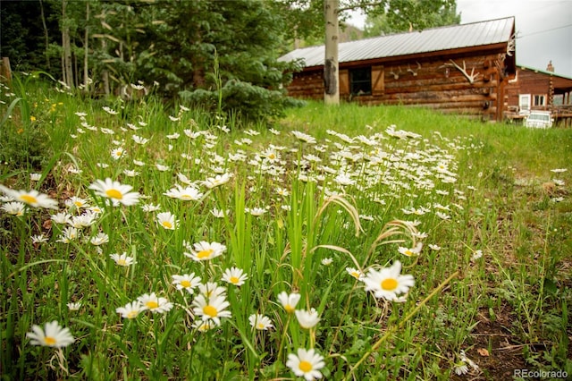 2150 Usfs Rd 521 18A, Creede, CO 81130 - photo 20