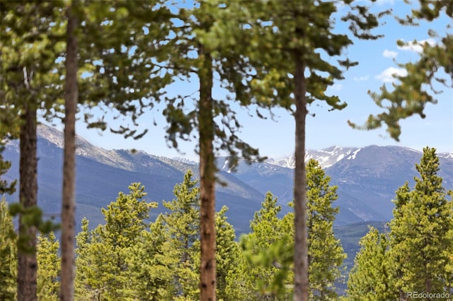 378 Juniata Cir, Breckenridge, CO 80424 - photo 15