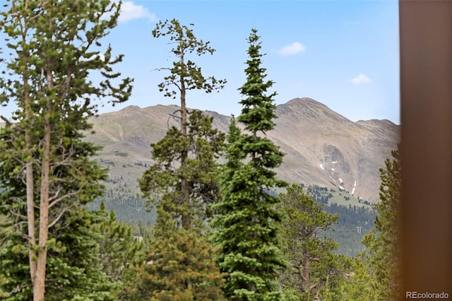378 Juniata Cir, Breckenridge, CO 80424 - photo 20
