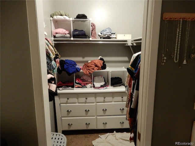 view of spacious closet