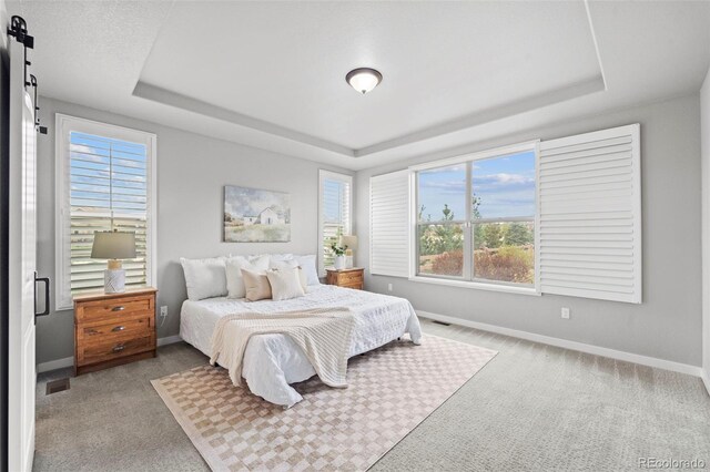 carpeted bedroom with a barn door, a raised ceiling, and multiple windows