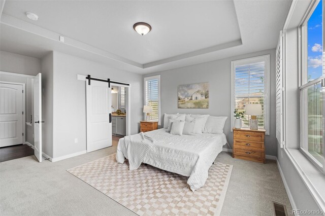 carpeted bedroom with a raised ceiling, a barn door, and multiple windows