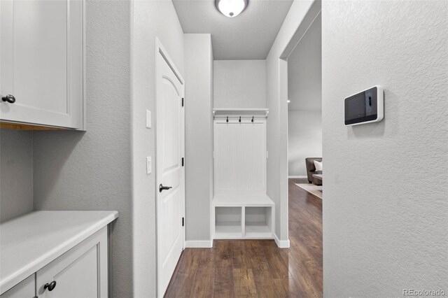 mudroom featuring dark wood-type flooring