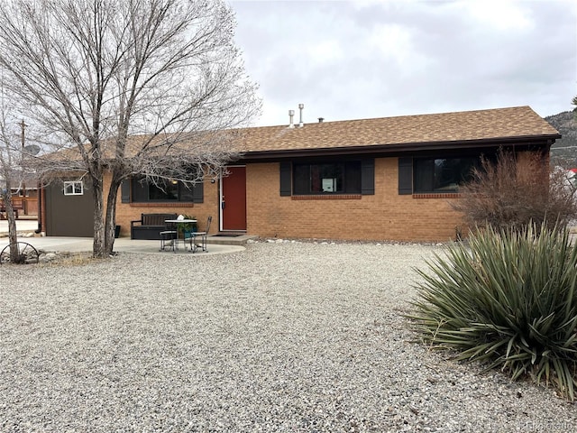 back of house featuring a shingled roof, a patio area, and brick siding