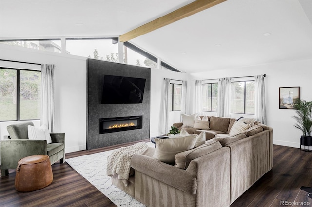10250 W 33rd Ave, Wheat Ridge, CO 80033 - living room with a glass covered fireplace, plenty of natural light, and dark wood-type flooring