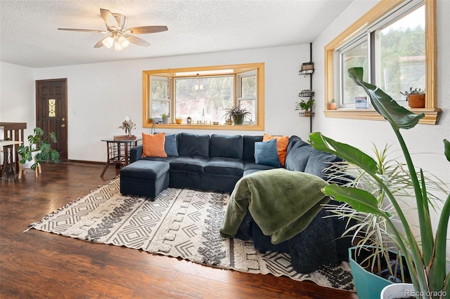 living area featuring plenty of natural light, a ceiling fan, a textured ceiling, and wood finished floors