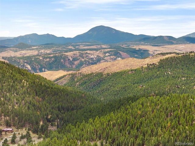 view of mountain feature featuring a forest view