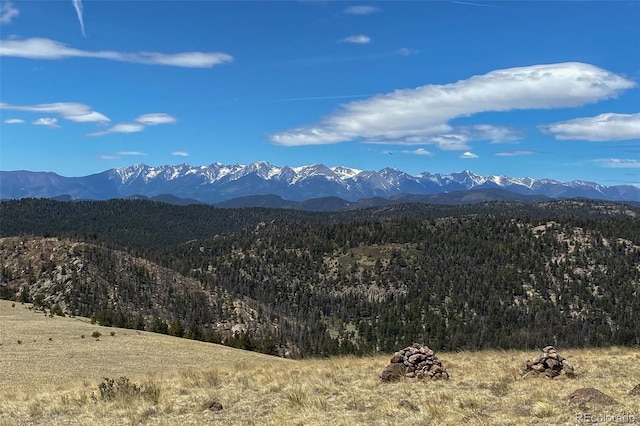 1590 Cimarron Xing, Canon City, CO 81212 - photo 37