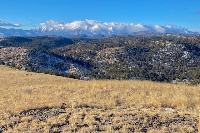 1590 Cimarron Xing, Canon City, CO 81212 - photo 48