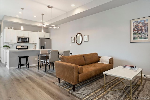 living room featuring light hardwood / wood-style floors