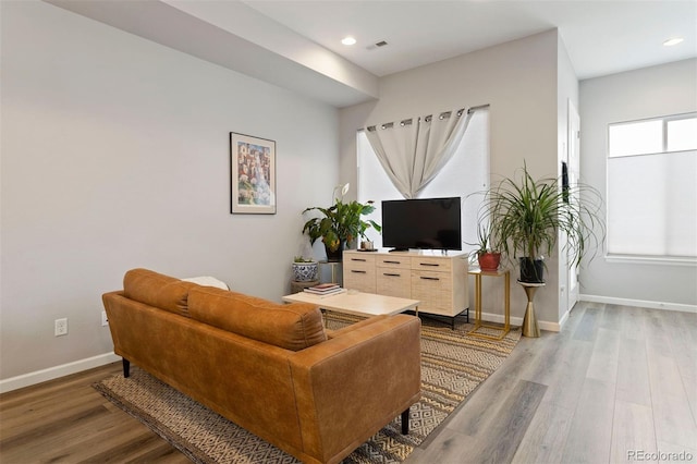 living room featuring wood-type flooring