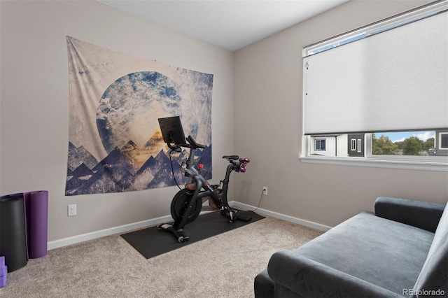 exercise area featuring carpet flooring