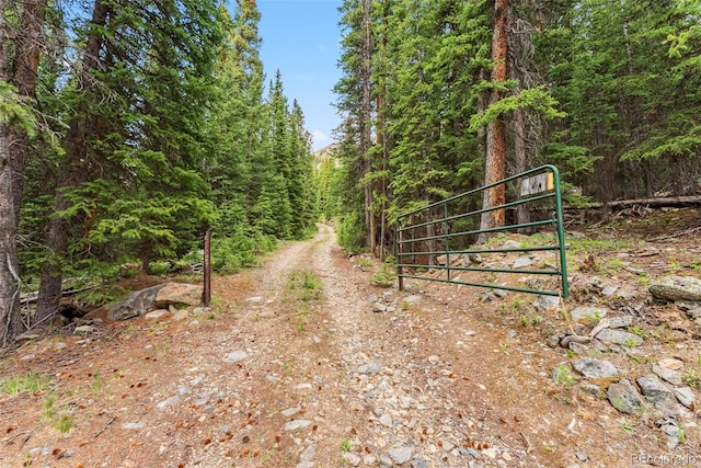 353 Bullion Mine Rd, Dillon, CO 80435 - photo 40