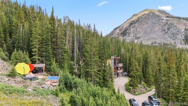 353 Bullion Mine Rd, Dillon, CO 80435 - photo 35