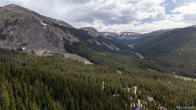 353 Bullion Mine Rd, Dillon, CO 80435 - photo 43
