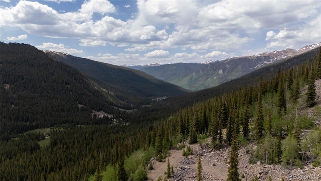 353 Bullion Mine Rd, Dillon, CO 80435 - photo 44