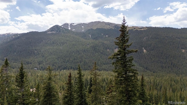 353 Bullion Mine Rd, Dillon, CO 80435 - photo 45