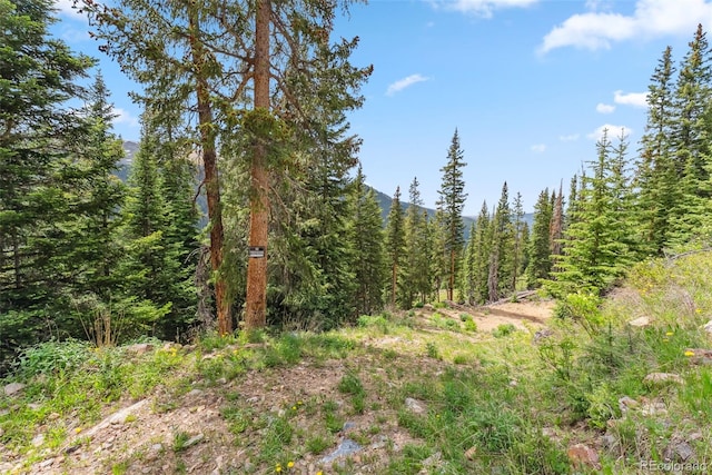 353 Bullion Mine Rd, Dillon, CO 80435 - photo 39