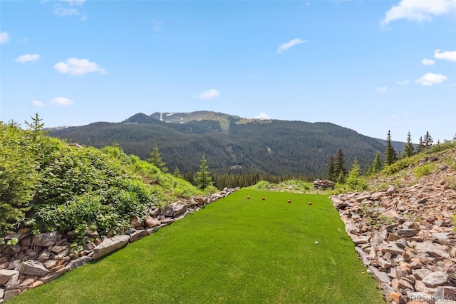 353 Bullion Mine Rd, Dillon, CO 80435 - photo 33